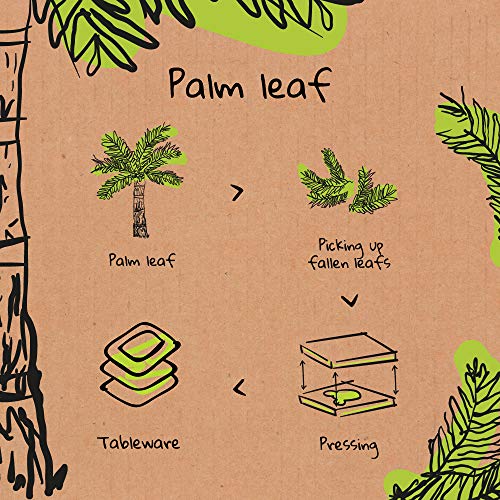 Palmblatt-Teller BIOZOYG Palmware – hochwertiges Palmblattgeschirr