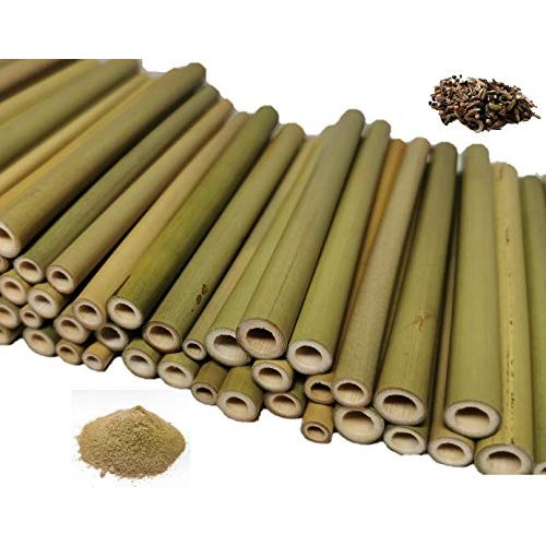 Die beste bambusrohre aktiongruen bambusroehrchen 70 stueck 12cm Bestsleller kaufen
