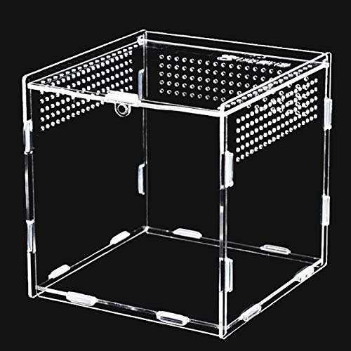 Die beste paludarium keweni feeding box 360 transparent acryl terrarium Bestsleller kaufen