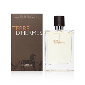 Parfum HERMES PARFUMS Hermès Terre homme/man, 100 ml