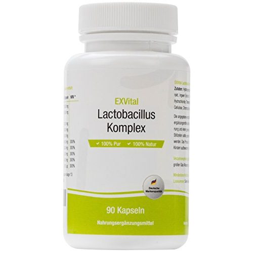 Darmreiniger Exvital Lactobacillus Komplex, 90 Kapseln