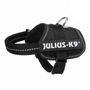 Welpengeschirr JULIUS K-9 Julius-K9, 162P-BB1, K9-Powergeschirr