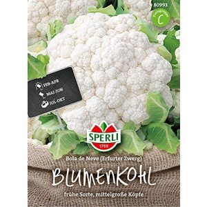 Blumenkohl-Samen Sperli 80993 Premium Bola de Neve