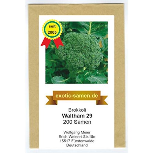 Die beste brokkoli samen exotic samen broccoli winterhart 29 200 samen Bestsleller kaufen