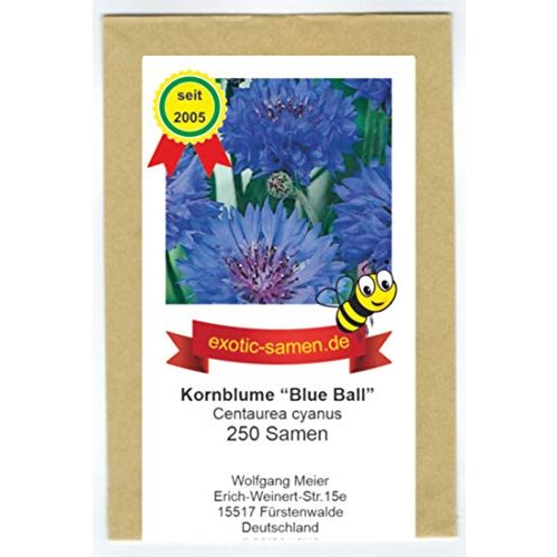 Die beste kornblumen samen exotic samen centaurea cyanus blue ball Bestsleller kaufen