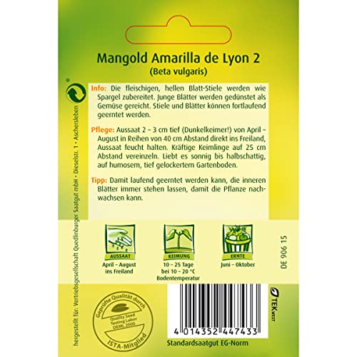 Mangold-Samen Quedlinburger Mangold, Amarilla de Lyon 2