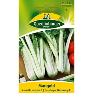 Mangold-Samen Quedlinburger Mangold, Amarilla de Lyon 2