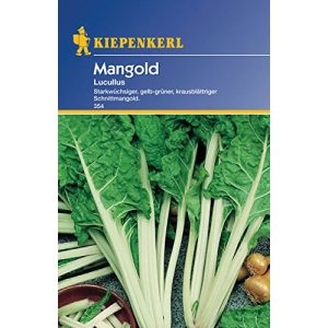 Mangold-Samen Sperli 354 Gemüsesamen Mangold Lucullus