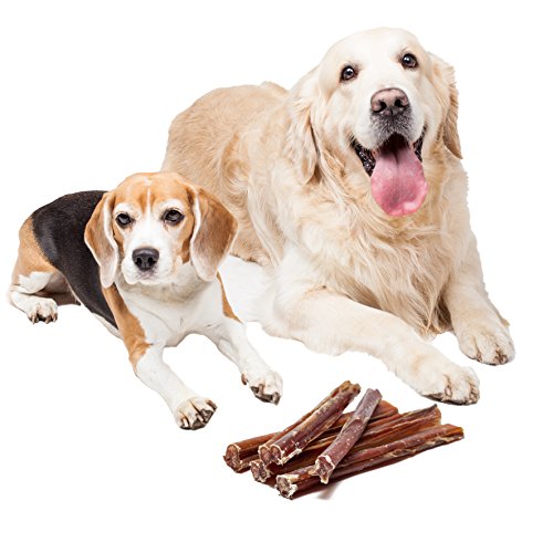 Ochsenziemer Natural Dog Treats 15 cm für Hunde, 5 Stück