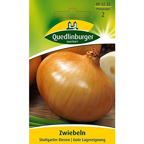 Die beste zwiebelsamen quedlinburger zwiebel stuttgarter riesen Bestsleller kaufen