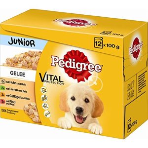 Pedigree-Hundefutter PEDIGREE Junior in Gelee, 4 x 12x100g