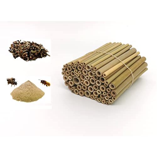 Die beste bambusroehrchen aktiongruen 70 stueck 12 cm mit lehmpulver Bestsleller kaufen