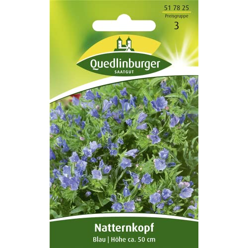 Die beste natternkopf samen quedlinburger natternkopf blau Bestsleller kaufen