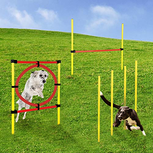 Die beste agilitygeraete momex agility set hunde training hundesport Bestsleller kaufen